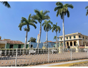 Vườn hoa trung tâm ở Trinidad