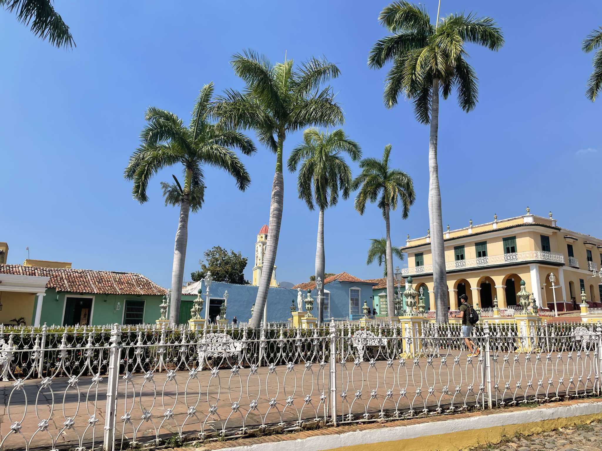 Vườn hoa trung tâm ở Trinidad