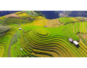 Mù Căng Chải